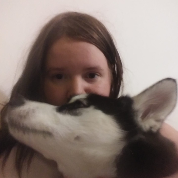 Meet your Posher, Shylo - Picture 1 of 1